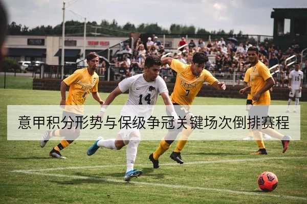 意甲积分形势与保级争冠关键场次倒排赛程